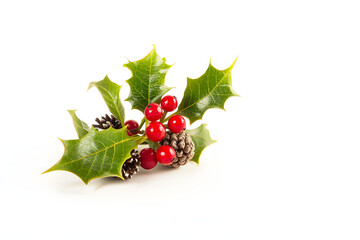 Christmas decoration of holly berry and pine cone on white background