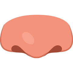 Close up of a simple cartoon nose illustration with pink skin tone and subtle shading on a transparent background ideal for medical or emoji related concepts