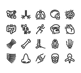 20 set of outline web anatomy icons such as bronchus, intestine, tendon, trapezius, cartilage vector thin icons for report, presentation, diagram, web design, mobile app
