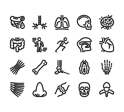 20 set of outline web anatomy icons such as bronchus, intestine, tendon, trapezius, cartilage vector thin icons for report, presentation, diagram, web design, mobile app