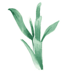 Green plant botanical transparent png hand drawn sticker