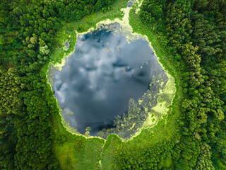 Aerial view of small lake and swamps in summer.