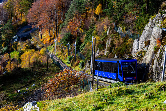 Bergen, Norway - 20 October 2024: Blue Fl&oslash;ibanen funicular car descending Mount Fl&oslash;yen in Bergen, Norway, passing a grassy hillside with friendly goats. Scenic autumn mountain view