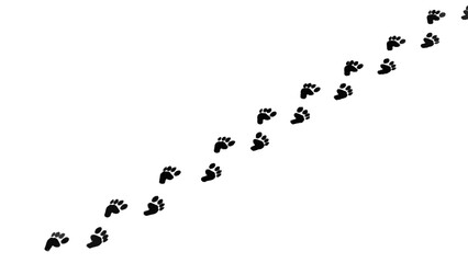 Vector illustration&nbsp;of paw print trail indicating animal movement on a white background
