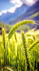 A close-up shot of vibrant green wheat stalks in a field, with a soft focus on the background showing mountains and a blue sky.