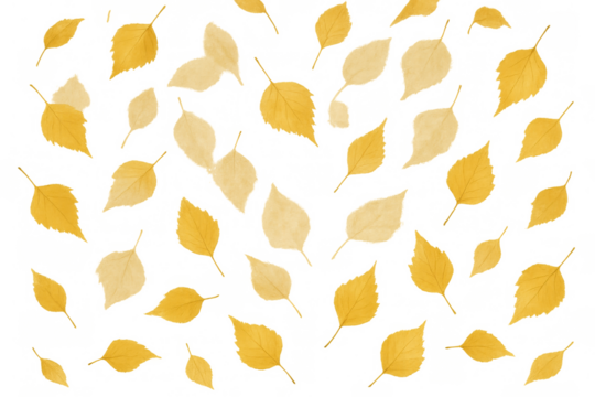 Falling autumn leaves creating a vibrant yellow and orange season pattern with a transparent background