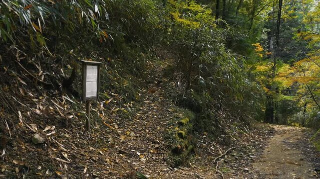 世界遺産・高野参詣道京大坂道「いろは坂」和歌山県高野町 Koyasan World Heritage &ndash; Irohazaka on the Kyo-Osaka Pilgrimage Route, Koya, Wakayama