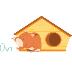 Cute Hamster Peeking Out of Wooden House with Text Ow T on Transparent Background