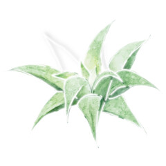 White neon cactus social ads template transparent png