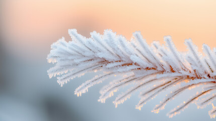 Frosty winter branch glistens in soft morning light against a pastel sky