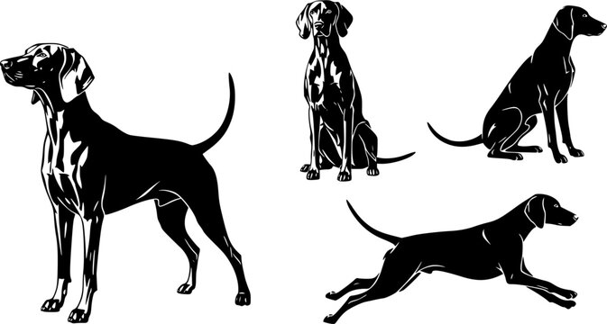Weimaraner dog silhouette, Weimaraner dog, Weimaraner, Weimaraner silhouette, Weimaraner dog vector bundle