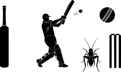 Cricket silhouette, Cricket bat, ball, stump player silhouette, Cricket silhouette bundle, Cricket, Cricket sports equipment silhouette set