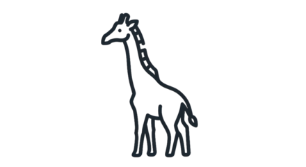 Minimalist outline illustration of a giraffe on transparent background
