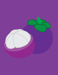 A vector art of mangosteen fruits. A tropical fruit native to Southeast Asia with a thick, dark purple rind and soft, snow-white, segmented flesh. 