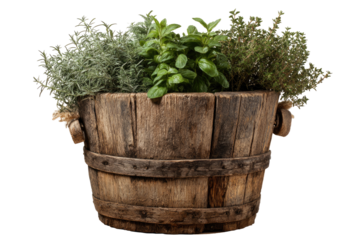 Rustic wooden planter filled with herbs