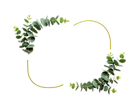 Eucalyptus frame asset for eco product packaging and skincare labels for sustainable gift certificates or spa menu layouts usable for herbal tea boxes about wedding invitation headers for florist