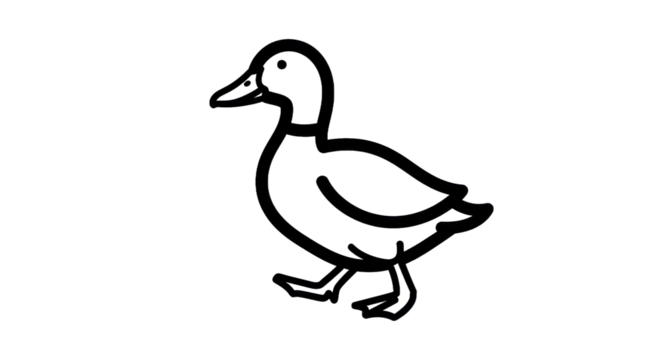 Outline of a duck with transparent background for design and illustration