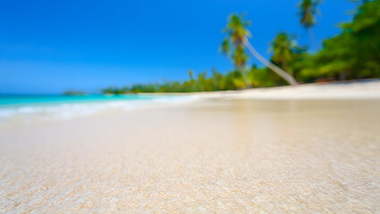 Tropical Paradise: An inviting stretch of pristine white sand gently kisses the crystal-clear turquoise waters under a radiant blue sky, creating a scene of perfect tropical bliss. 