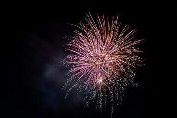 Fototapeta premium Colorful fireworks illuminate the night sky during a festive celebration in a city park at dusk
