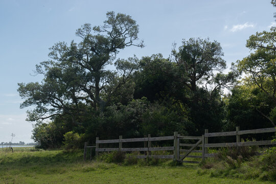Portera al bosque de omb&uacute;es