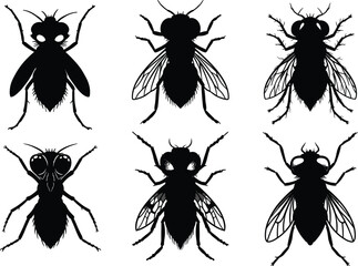 Fly silhouette illustration, insect shape variation, entomology design, black vector graphic, wing detail, body structure, educational concept, artistic style, scientific theme, bug morphology