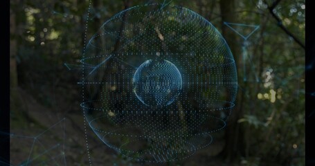 Floating blue holographic sphere rotating over forest clearing, with inner globe and network nodes