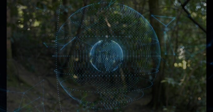 Floating blue holographic sphere rotating over forest clearing, with inner globe and network nodes