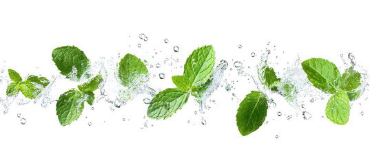 Fresh mint leaves with water splash isolated on transparent background, conveying a sense of refreshment, naturalness, and purity, ideal for culinary or wellness themes