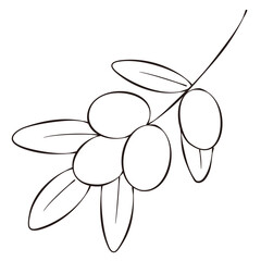 モノクロのペン画風のオリーブの枝のイラスト
