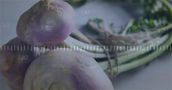 Waveform band appearing ticks pulsing orange trace making peaks numbers fading showing turnip data