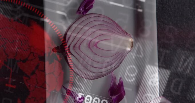 Animation starting, halved red onion sitting cut-side-up on dish, overlays sliding, adding red cast