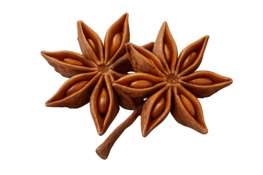Star anise pods and seeds for cooking, seasoning, baking, and aromatic spice with transparent background