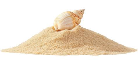 Seashell on a sand dune isolated on transparent background, showcasing the beauty of natures creations in a minimalist composition with a focus on texture