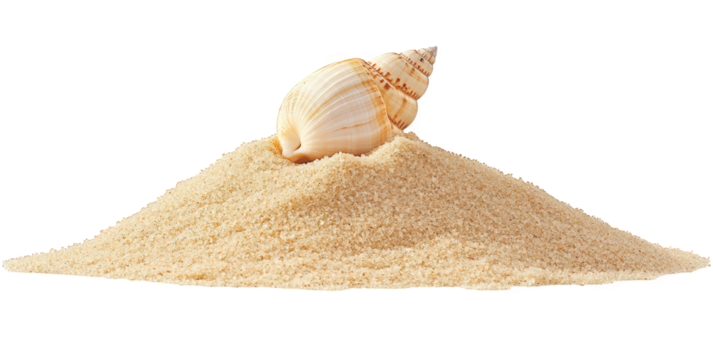 Seashell on a sand dune isolated on transparent background, showcasing the beauty of natures creations in a minimalist composition with a focus on texture