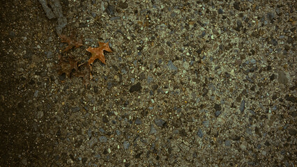 concrete pavement with a maple leaf on