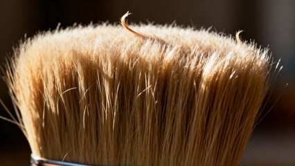 Close-up of a paintbrush with natural bristles, showing fine texture and light color
