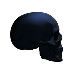 human skull, transparent background, 300 dpi