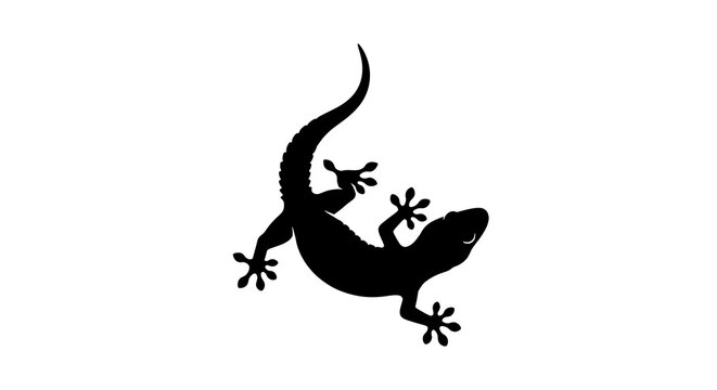 Black silhouette of a gecko climbing upside down isolated on white background - Powered by Adobe