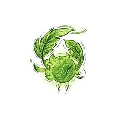 Green cabbage leaf vector illustration with floral and nature design elements