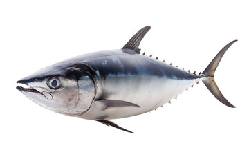 Fototapeta premium A magnificent tuna isolated on transparent background, showcasing its streamlined body, iridescent scales, and powerful fins, a true marvel of the oceans depths
