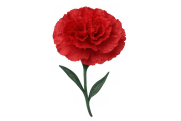 Red carnation flower made from paper, presenting a symbol of love, admiration, and remembrance with copy space