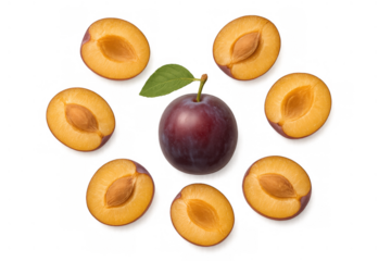 Fresh whole plum with green leaf and multiple pitted halves, purple ripe fruit showing succulent orange pulp, healthy food for balanced diet