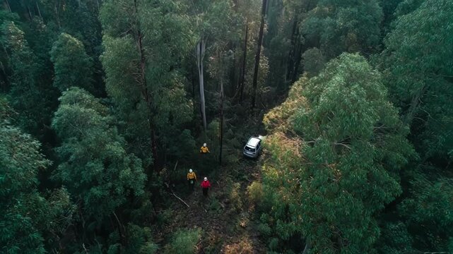 Middistance footage of forest rangers monitoring protected woodland areas supporting sustainable carbon storage efforts