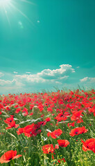 Vivid Scarlet Poppies Blooming Below Serene Turquoise Skies in a Stunning Nature Scene - Beautiful Landscape Photography Art Print