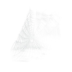 spider web with dew, 300 dpi