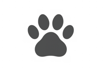 Animal paw print vector illustration showing pet walk track with shadow on transparent background