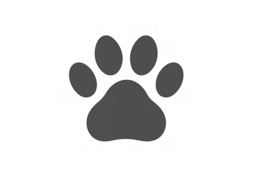 Animal paw print vector illustration showing pet walk track with shadow on transparent background