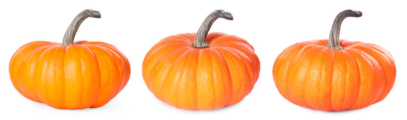 Fresh ripe pumpkins isolated on white, set