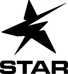 simple black s 5 star abstract vector icon logo design