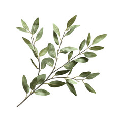 Obraz premium A lush green branch with vibrant leaves isolated on transparent background, capturing the essence of natures vitality and freshness in a simple yet elegant composition